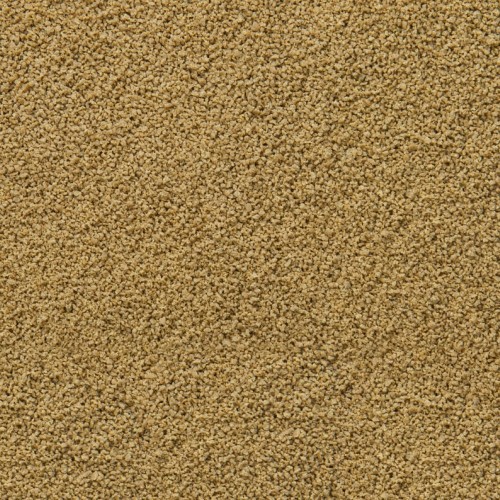 Sera Immun Pro Mini Nature Granül Yem 100 Gram